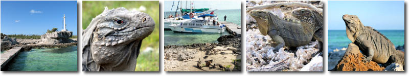 Cayo Iguana, Cayo Largo, Cuba